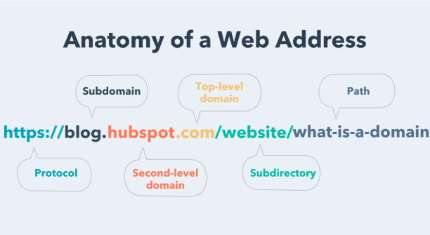 Anatomy of a web address
